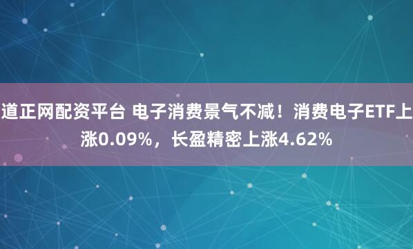 道正网配资平台 电子消费景气不减！消费电子ETF上涨0.09%，长盈精密上涨4.62%