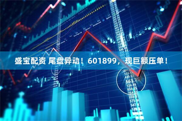 盛宝配资 尾盘异动！601899，现巨额压单！