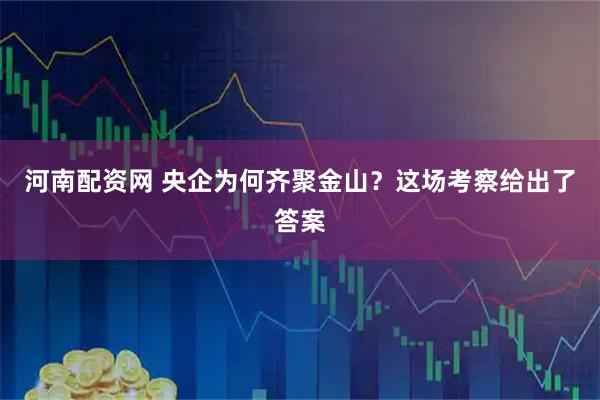 河南配资网 央企为何齐聚金山？这场考察给出了答案