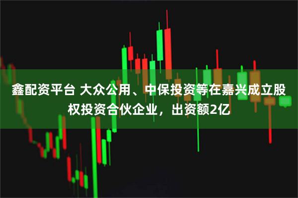 鑫配资平台 大众公用、中保投资等在嘉兴成立股权投资合伙企业，出资额2亿